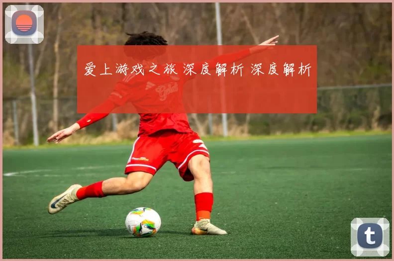 爱上游戏之旅 深度解析 深度解析