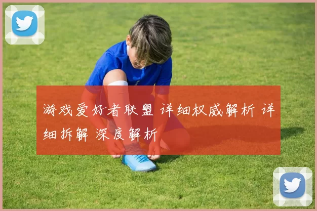 游戏爱好者联盟 详细权威解析 详细拆解 深度解析