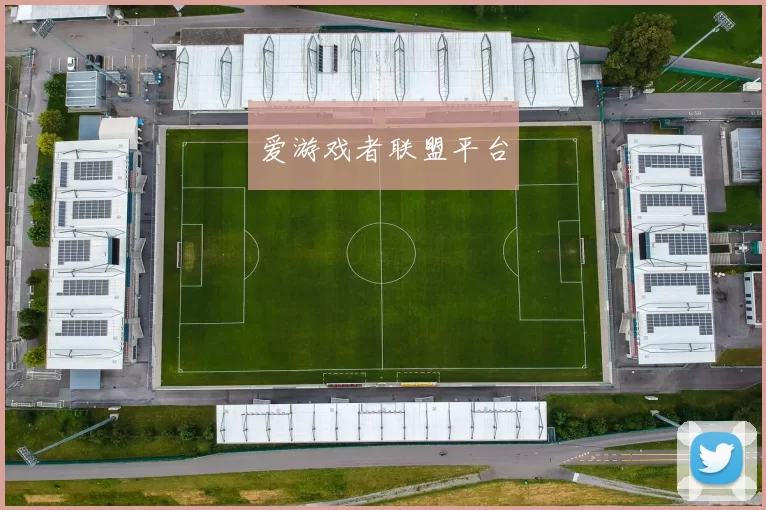 爱游戏者联盟平台