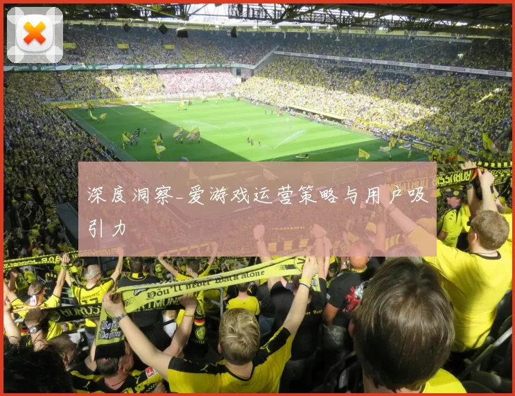 深度洞察_爱游戏运营策略与用户吸引力