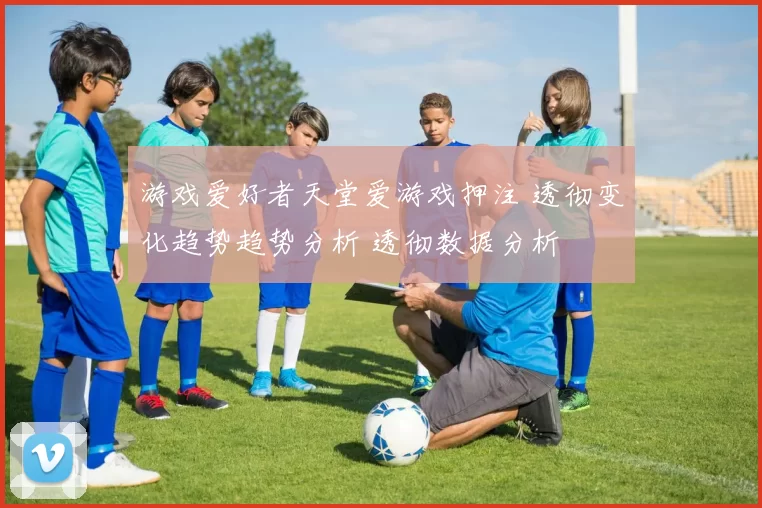 游戏爱好者天堂爱游戏押注 透彻变化趋势趋势分析 透彻数据分析