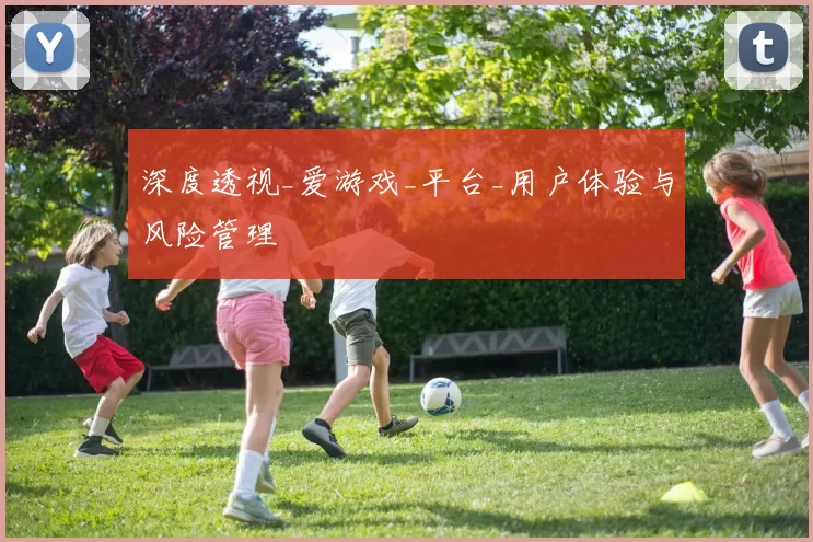 深度透视_爱游戏_平台_用户体验与风险管理