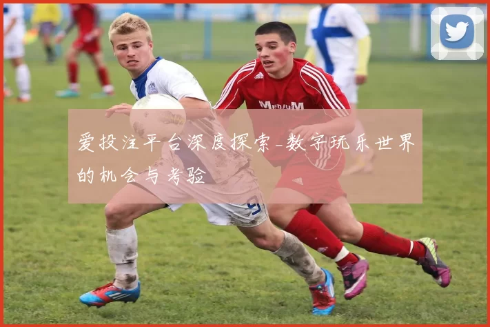 爱投注平台深度探索_数字玩乐世界的机会与考验