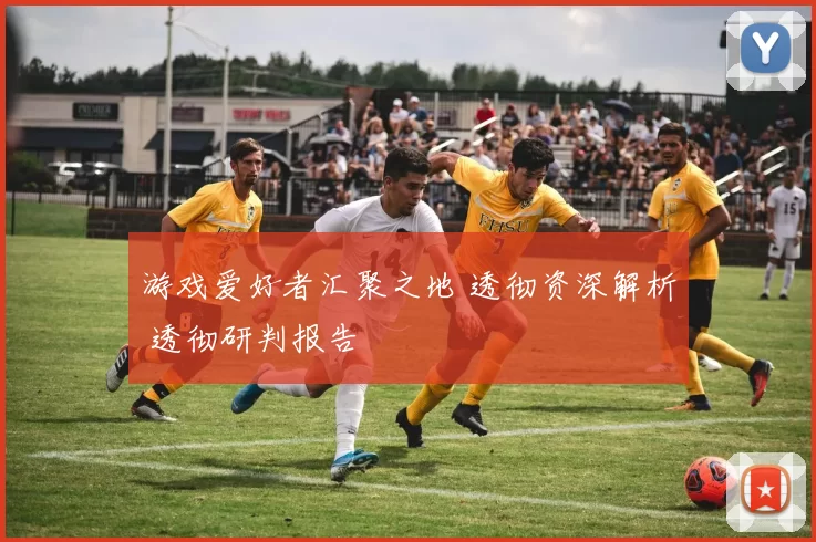 游戏爱好者汇聚之地 透彻资深解析 透彻研判报告