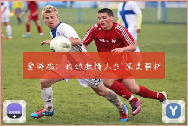 爱游戏：我的激情人生 深度解析