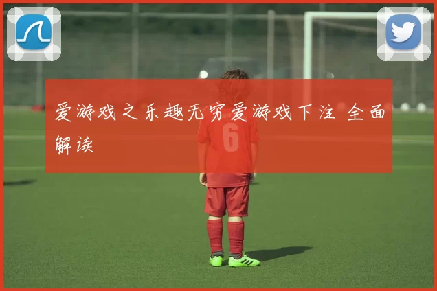 爱游戏之乐趣无穷爱游戏下注 全面解读