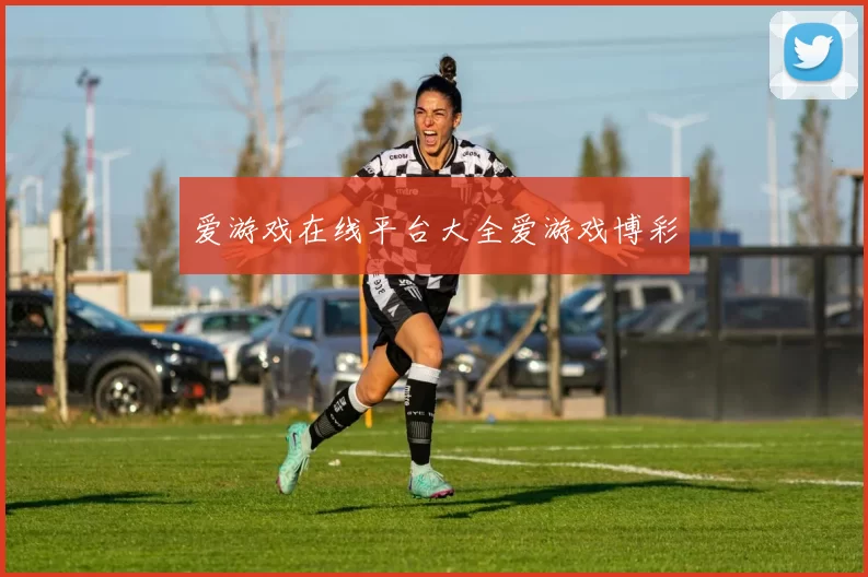 爱游戏在线平台大全爱游戏博彩