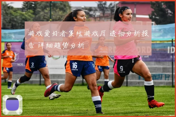 游戏爱好者集结游戏厅 透彻分析报告 详细趋势分析