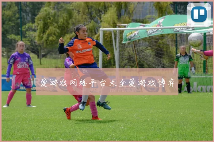 爱游戏网络平台大全爱游戏博弈