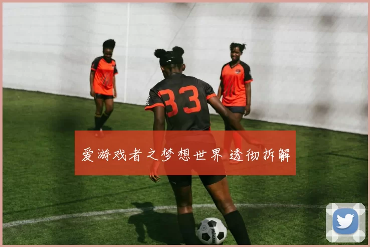 爱游戏者之梦想世界 透彻拆解