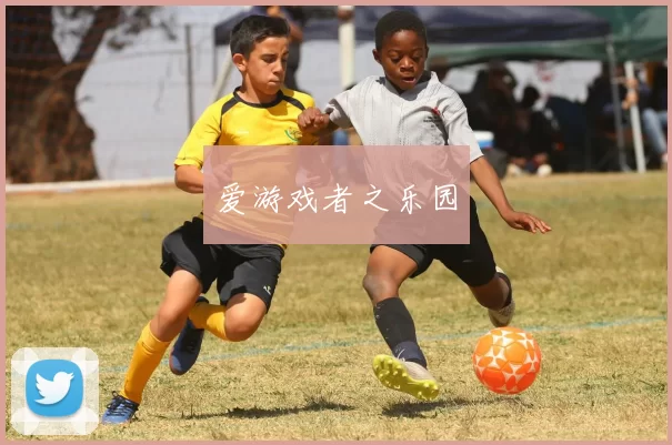 爱游戏者之乐园