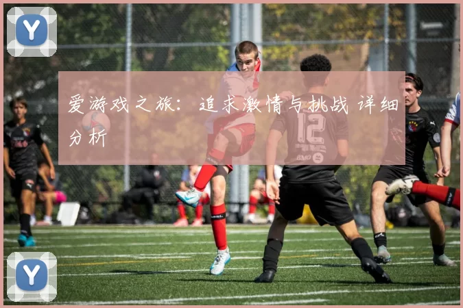 爱游戏之旅：追求激情与挑战 详细分析
