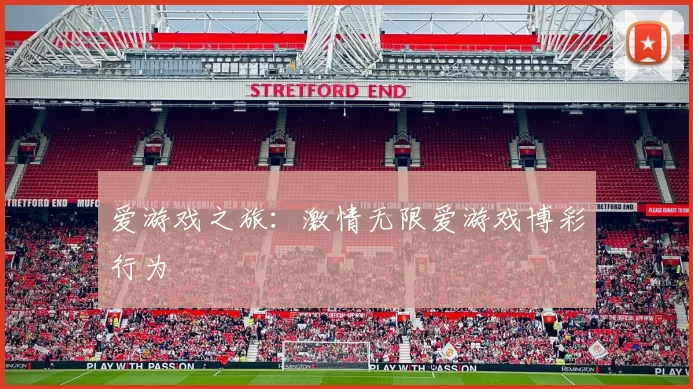 爱游戏之旅：激情无限爱游戏博彩行为