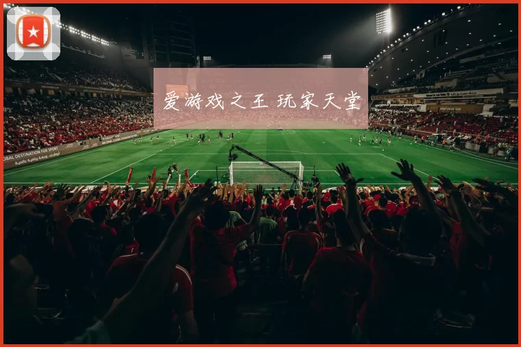 爱游戏之王 玩家天堂