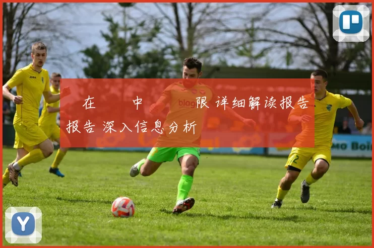 愛在遊戲中暢遊無限 详细解读报告报告 深入信息分析