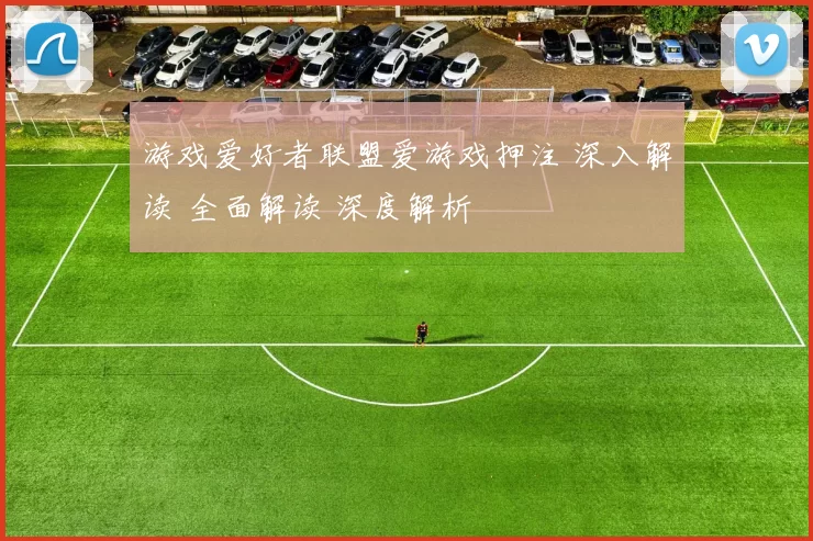 游戏爱好者联盟爱游戏押注 深入解读 全面解读 深度解析