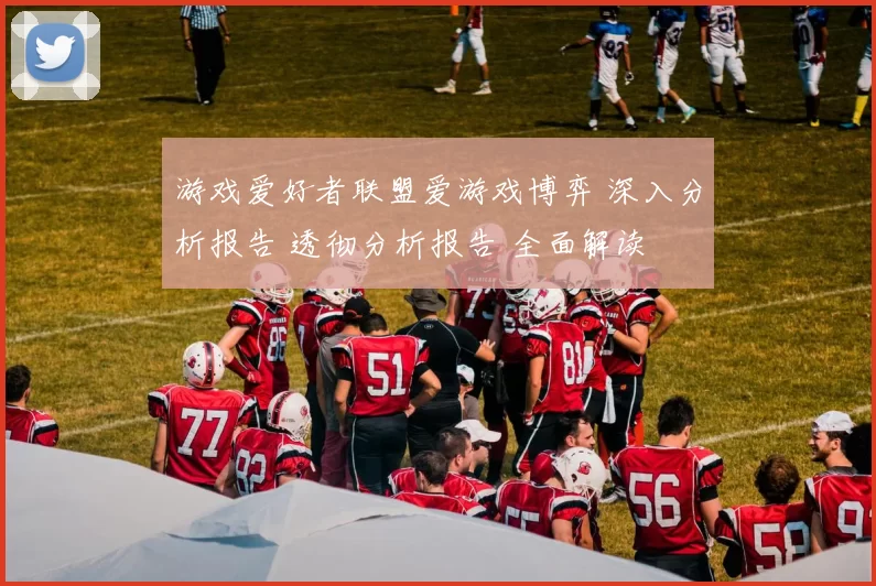 游戏爱好者联盟爱游戏博弈 深入分析报告 透彻分析报告 全面解读