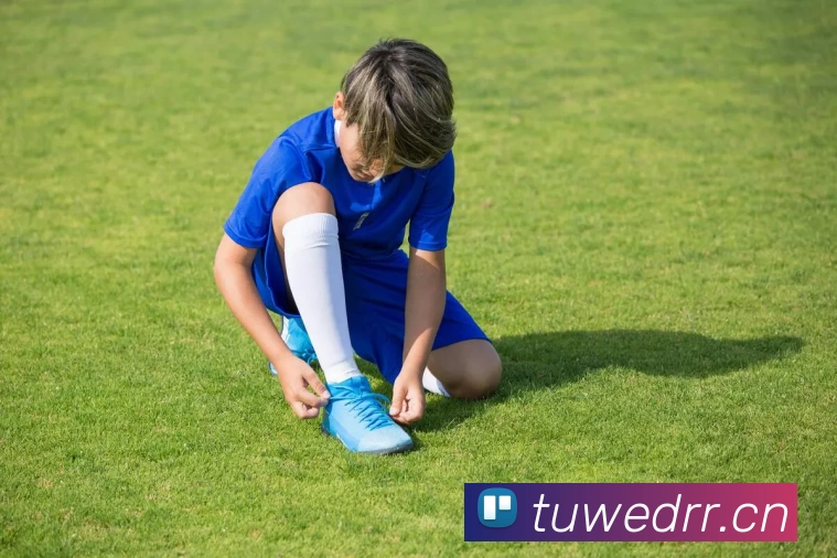 App Interface Preview